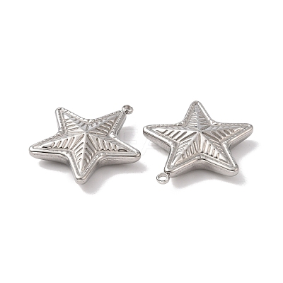 Non-Tarnish 304 Stainless Steel Pendants STAS-C073-03P-1