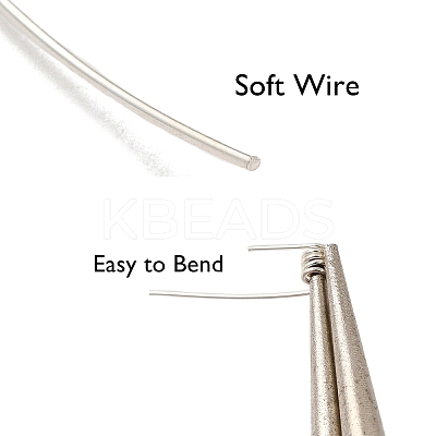 32.8 Foot 925 Sterling Silver Wire STER-D002-0.6mm-1