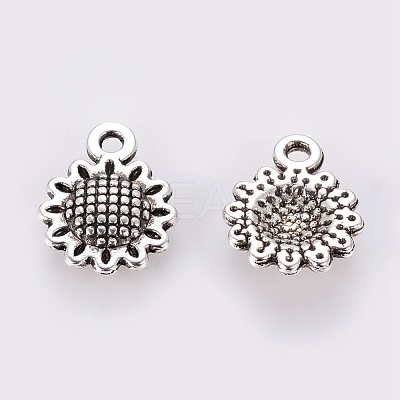 Tibetan Style Alloy Charms LF10257Y-1