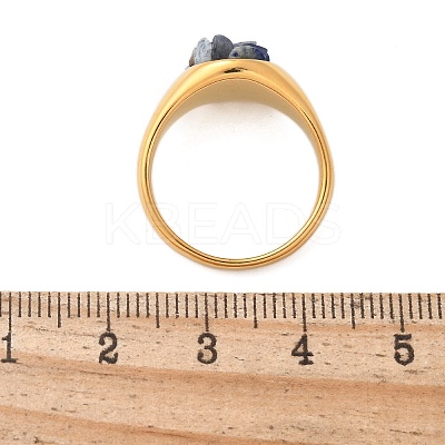 Round Natural Lapis Lazuli Chips Finger Rings RJEW-D303-03G-05-1