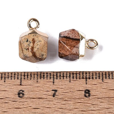 Natural Picture Jasper Pendants G-N359-18G-13-1