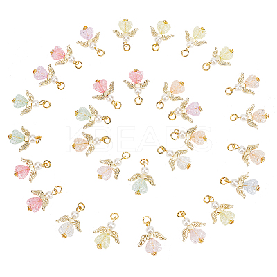 30Pcs Transparent Acrylic Pendants FIND-PH0008-05-1
