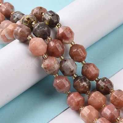 Natural Plum Blossom Jasper Beads Strands G-G990-F16-1