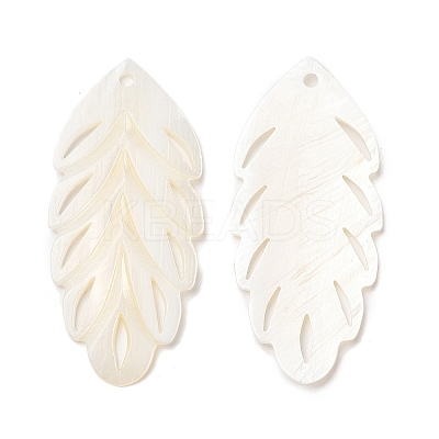 Natural Freshwater Shell Big Pendants SHEL-F007-19-1