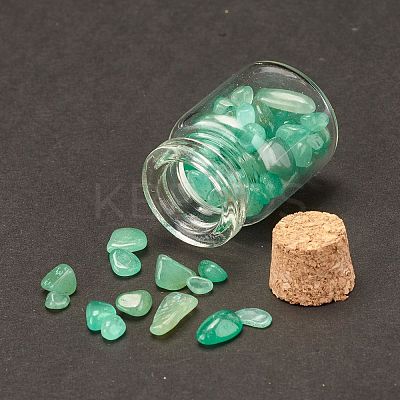 Transparent Glass Wishing Bottle Decoration DJEW-A001-01A-06-1