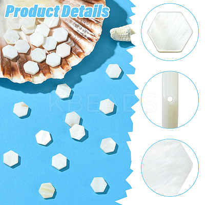 2 Strands Natural Freshwater Shell Beads Strands SSHEL-SC0001-36C-1