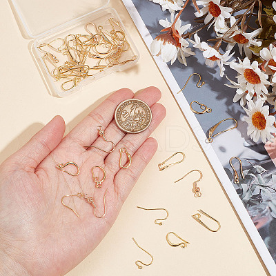 40Pcs 10 Styles Brass Earring Hooks DIY-GO0001-18-1