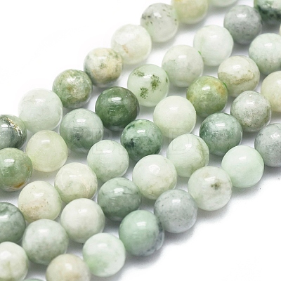 Natural Myanmar Jade/Burmese Jade Beads Strands G-D0001-08-6mm-1
