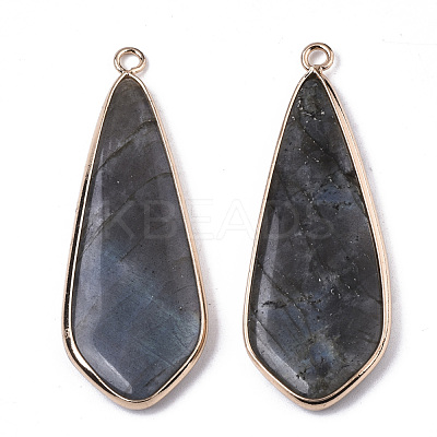 Natural Labradorite Pendants G-S359-108A-1