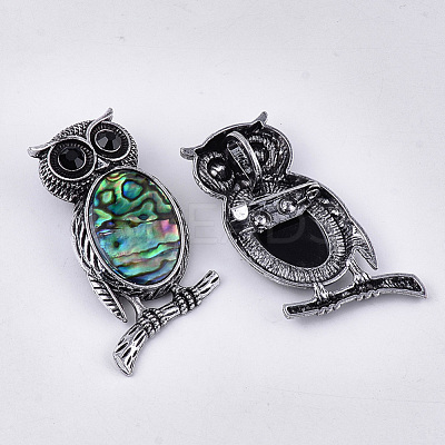 Abalone Shell/Paua Shell Brooches/Pendants RESI-S376-12-1
