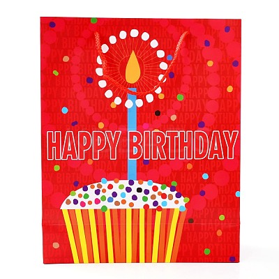 Birthday Theme Rectangle Paper Bags CARB-E004-03E-1
