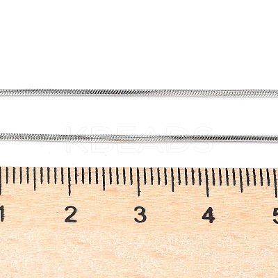 Tarnish Resistant 304 Stainless Steel Snake Chains Necklaces NJEW-O058-24P-1