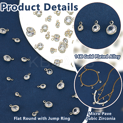 50Pcs Alloy Micro Pave Cubic Zirconia Charms FIND-PH0023-64G-1