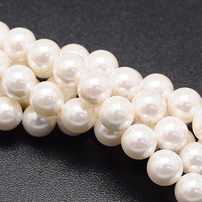 Shell Pearl Beads Strands X-BSHE-E008-8mm-12-1