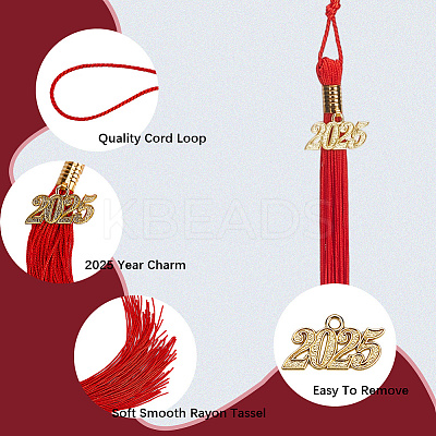 Polyester Graduation Tassel Pendant Decorations AJEW-WH20020-078G-1