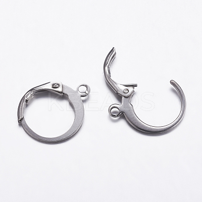 Tarnish Resistant 304 Stainless Steel Hoop Earrings X-STAS-K146-038-14.5mm-1