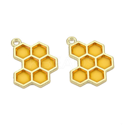 Epoxy Resin Pendants RESI-Q213-001-NR-1