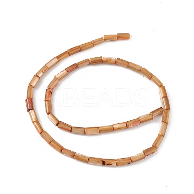 Natural Freshwater Shell Dyed Beads Strands X-SHEL-M018-11-11-1