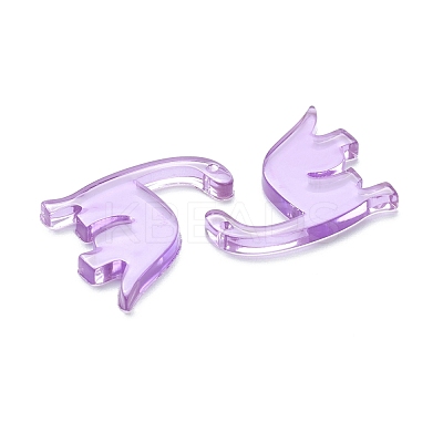 Transparent Acrylic Pendants TACR-M002-01D-1
