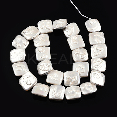 Plating Natural Freshwater Shell Beads Strands SHEL-N026-230B-1