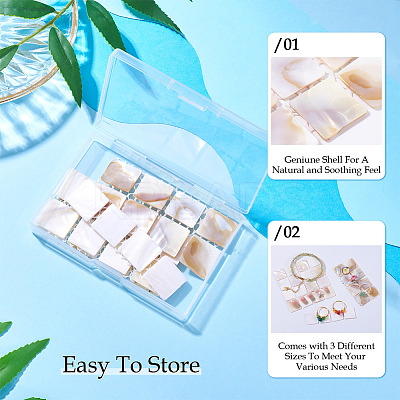 3Pcs 3 Styles Natural Shell Nail Art Display Board ODIS-TA0001-04-1