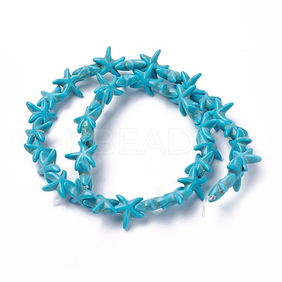 Synthetic Turquoise Beads Strands TURQ-L029-03C-1