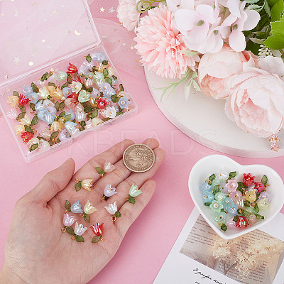 100Pcs 10 Colors Acrylic Charms PALLOY-HY00046-1