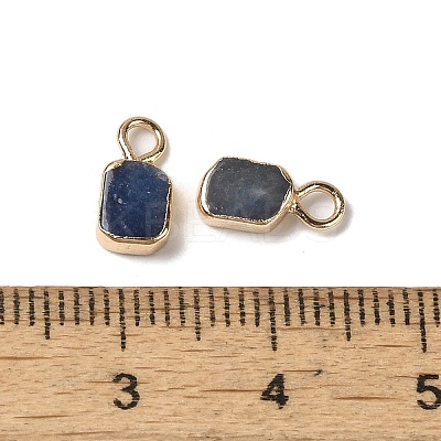 Dyed & Heated Natural Blue Aventurine Rectangle Charms G-Q169-07G-07-1