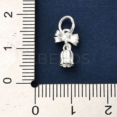 S925 Sterling Silver Charms STER-K183-01S-1