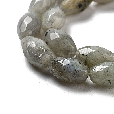 Natural Labradorite Beads Strands G-P520-C08-01-1