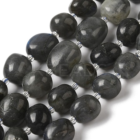 Natural Larvikite Beads Strands G-Q169-E05-01-1