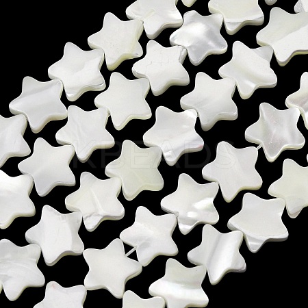 Natural Trochid Shell/Trochus Shell Beads Strands SH-CBA2978-17B-1