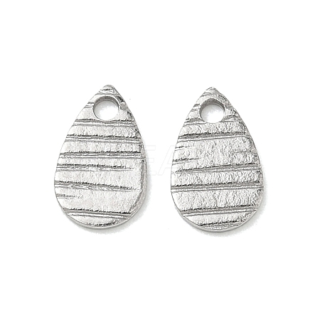 304 Stainless Steel Charms STAS-G393-05P-03-1