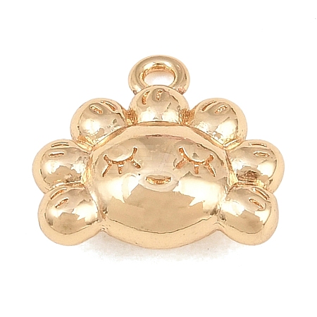 304 Stainless Steel Charms SA-CBA4377-02B-G-1