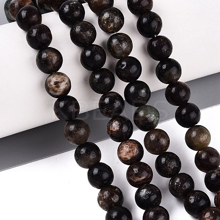 Natural Biotite Beads Strands G-Q616-01C-1