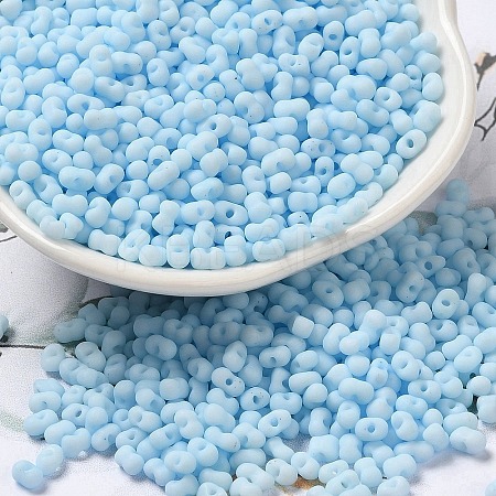 Glass Frosted Seed Beads SEED-K009-05B-09-1
