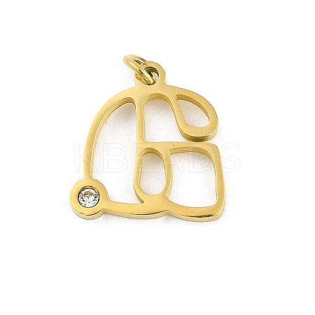 304 Stainless Steel Pendants STAS-R137-01G-G-1