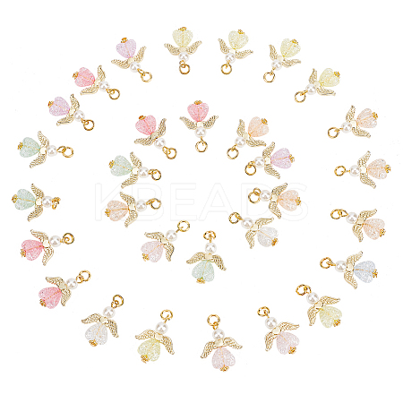 30Pcs Transparent Acrylic Pendants FIND-PH0008-05-1
