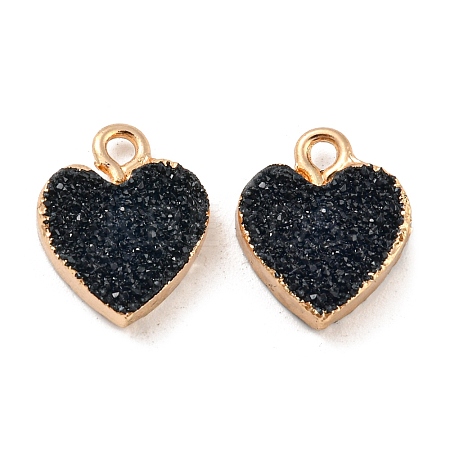 Resin with Golden Zinc Alloy Charms RESI-CJC0009-04E-1