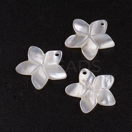 Natural White Shell Mother of Pearl Shell Pendants LS-SSHEL-G014-60-1