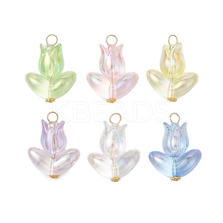 6Pcs Acrylic Beads Pendants PALLOY-JF03023-1