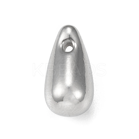 Non-Tarnish 304 Stainless Steel Charms STAS-F287-07P-1
