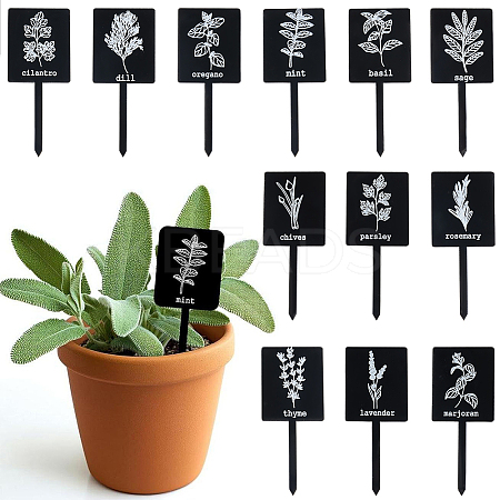 24Pcs Acrylic Plant Label DIY-SP0006-50-1