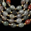 Natural Bloodstone/Heliotrope Stone Beads Strands G-F809-A13-01-4