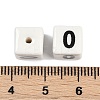 Handmade Porcelain Beads X1-PORC-R003-07-00-3