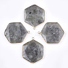 Natural Labradorite Pendants G-T112-19A-1