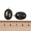 Natural Labradorite Pendants STAS-F322-15G-06-3