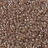 MIYUKI Delica Beads SEED-MY11-DB0102-3