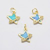 Brass Micro Pave Cubic Zirconia Charms KK-P135-06G-NR-1