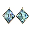 304 Stainless Steel Pave Natural Paua Shell Pendants LS-STAS-Z125-01D-G-1
